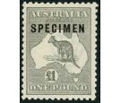 SG75s. 1924 £1 Grey. 'SPECIMEN'. Superb fresh U/M mint...